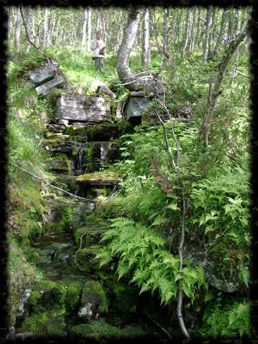 Wandern im Rondane-Park