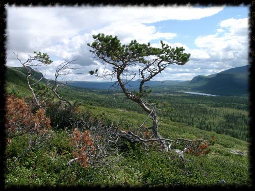 Ausblick ber Rondane